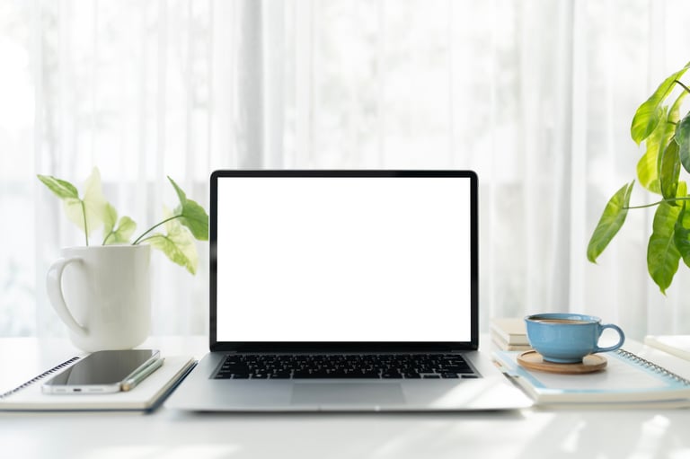 Laptop and Orange, blue cup and potted plants, cozy minimal indoor work space